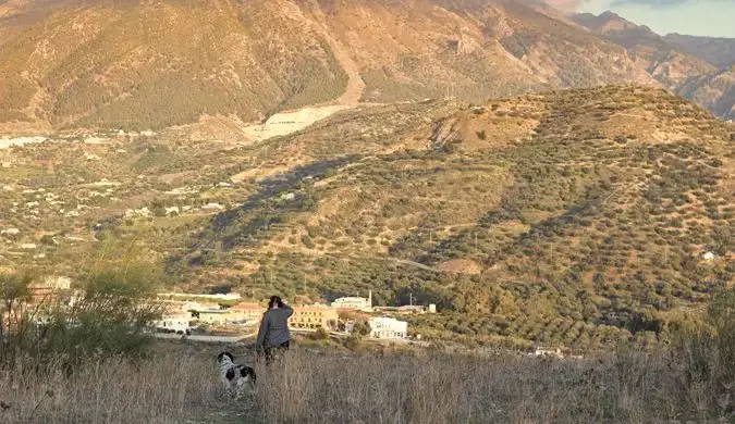 מטיילים עם הכלב בגבעות של קוסטה דל סול בספרד תוך כדי ישיבה בבית