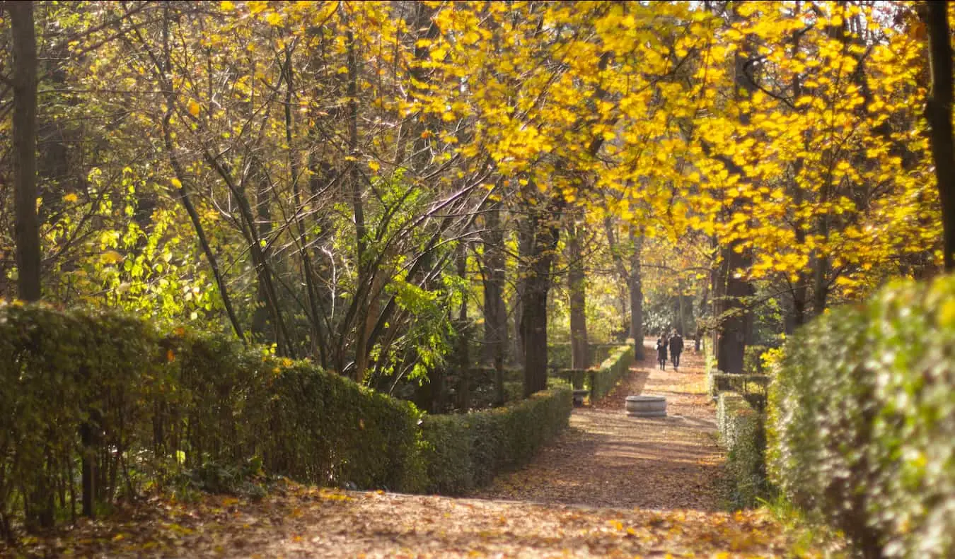 Den lummiga Retiroparken på hösten i Madrid, Spanien