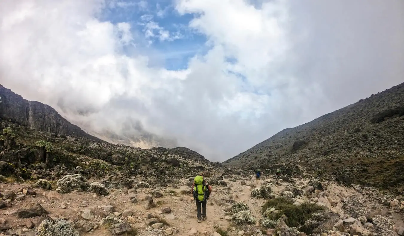 Folk vandrer langs en af ​​de mange ruter op ad Kilimanjaro-bjerget