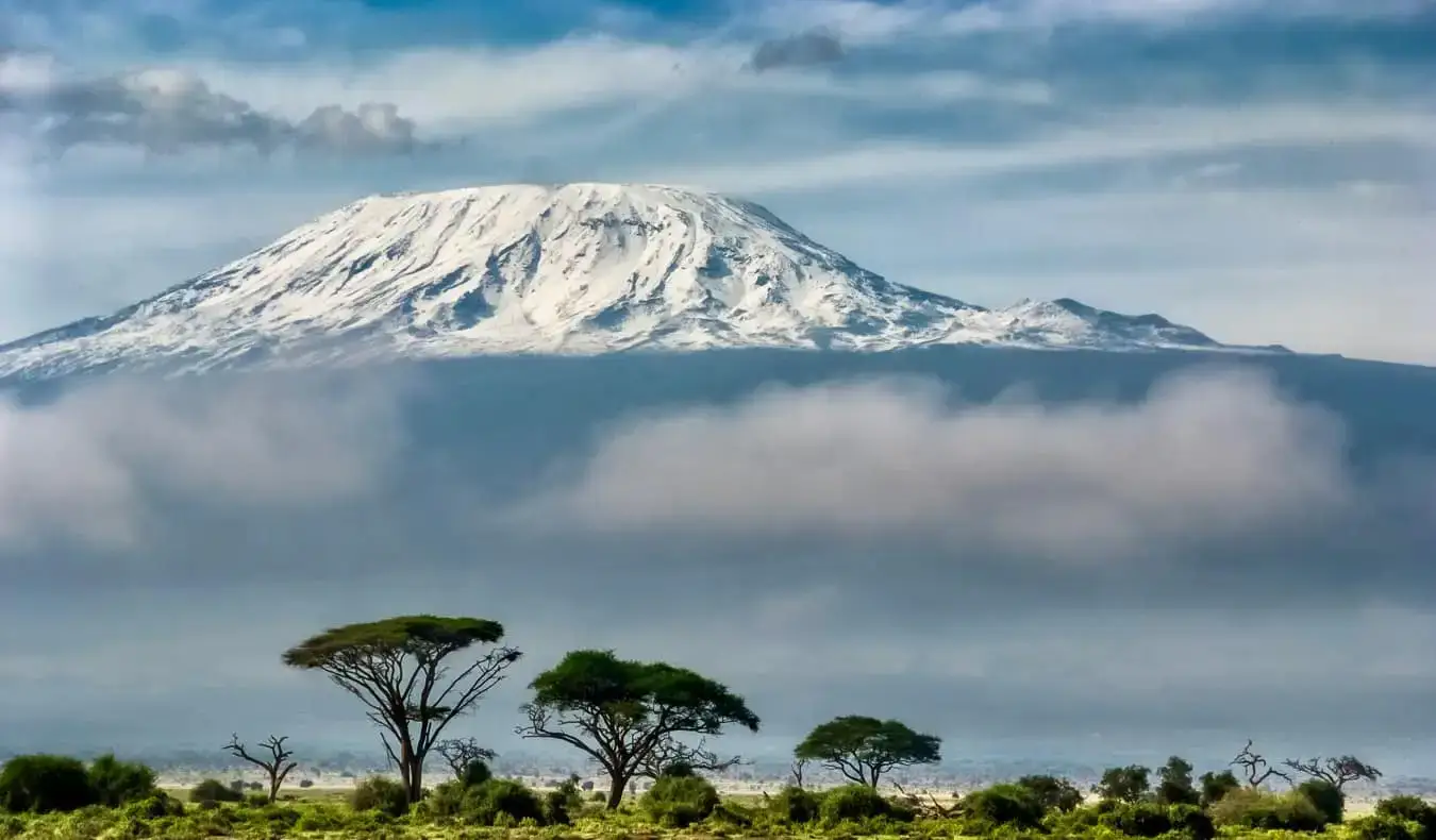 Utsikten över Kilimanjaro i Tanzania från en närliggande nationalpark