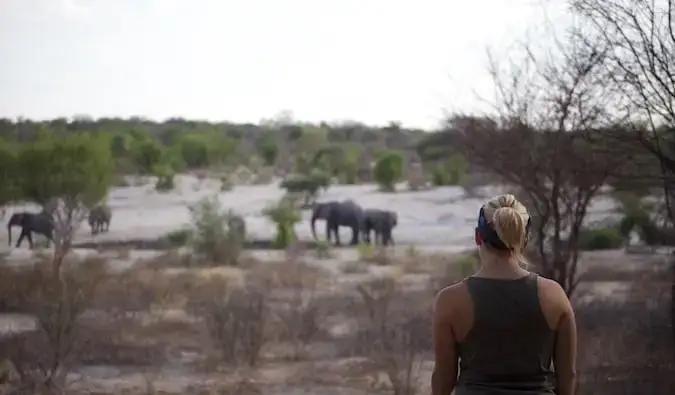 safári no sul da África