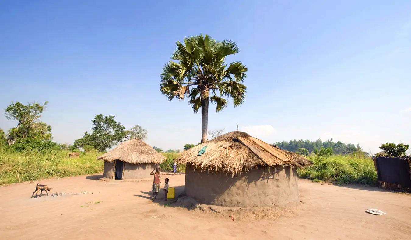 Uganda'daki bir köyde küçük bir geleneksel kulübe