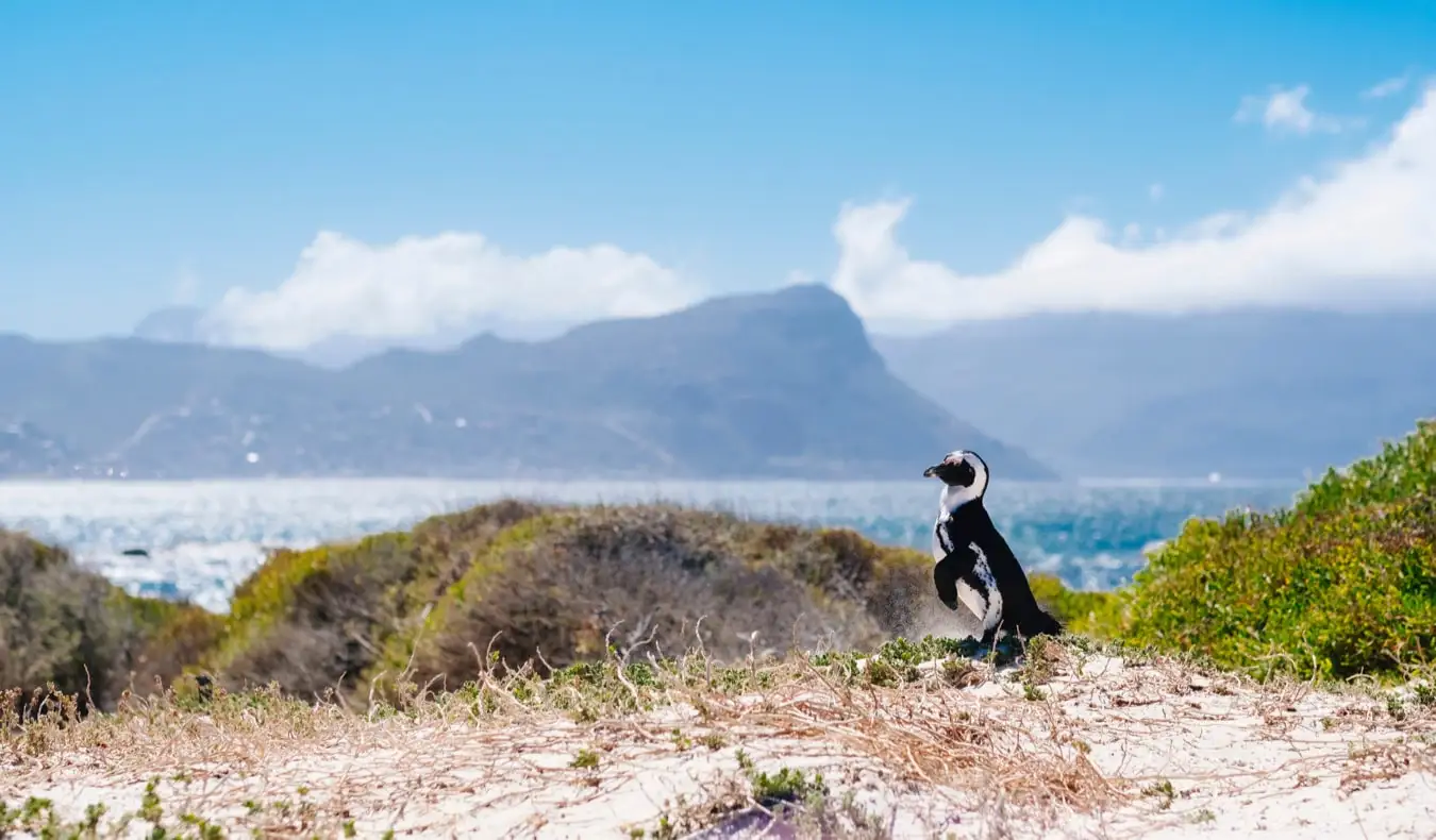 Il centro storico della città del Capo, in Sud Africa