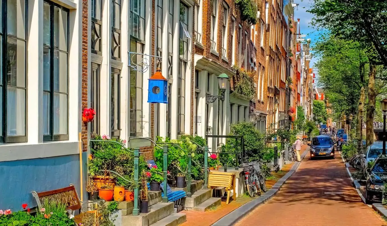 Von Bäumen gesäumte Straßenlandschaft im Amsterdamer Stadtteil Jordaan mit bunten Häusern und vielen Pflanzen davor.