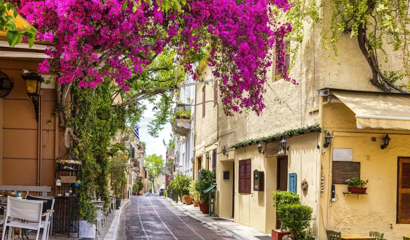 Uma encantadora rua estreita repleta de vegetação e árvores em Plaka, Atenas