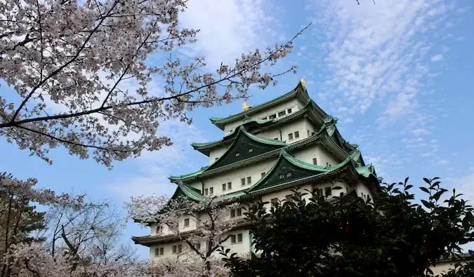 Ett traditionellt japanskt slott omgivet av träd och klarblå himmel