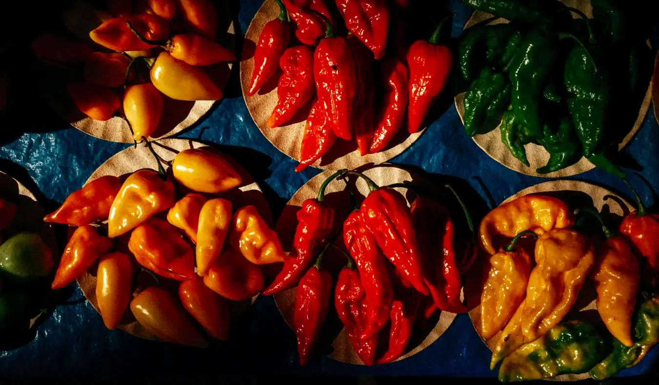 Egy halom színes csípős paprika