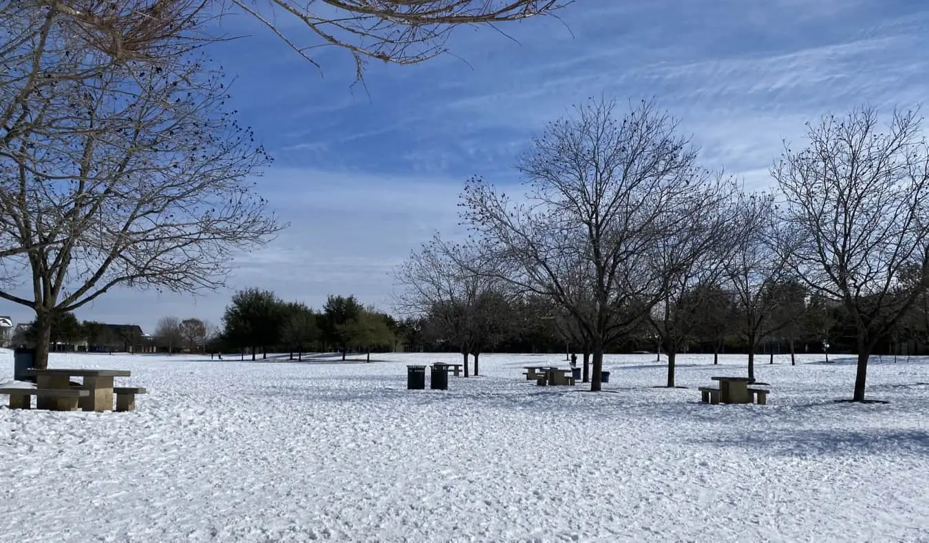 En snöig park i Austin, Texas