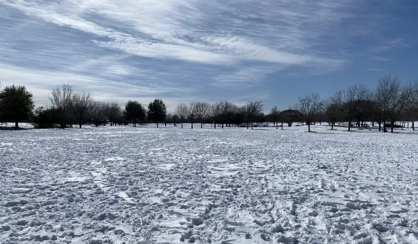 Salju dan langit biru di Austin, Texas saat badai salju