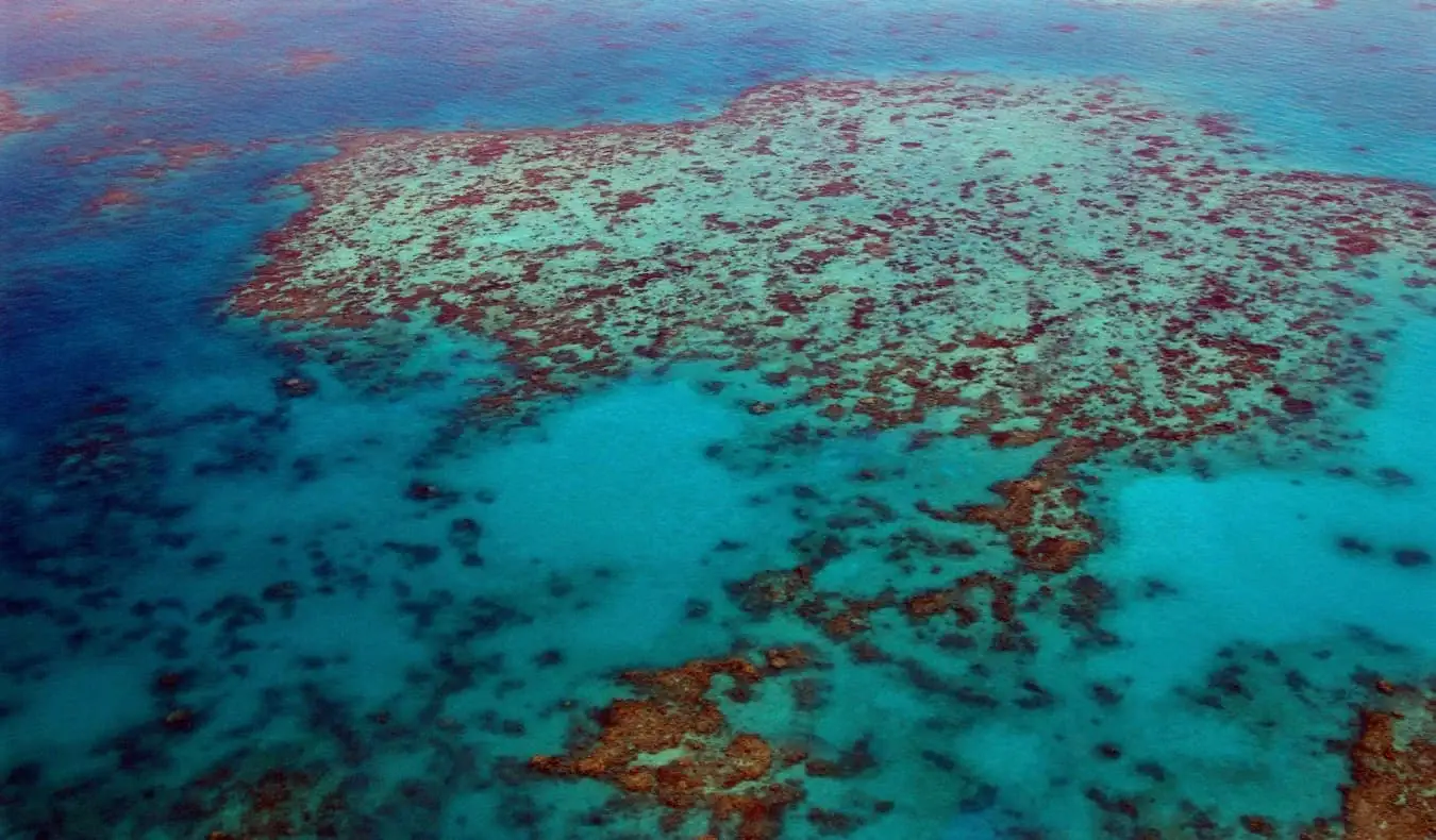 แนวปะการัง Great Barrier Reef ในออสเตรเลีย