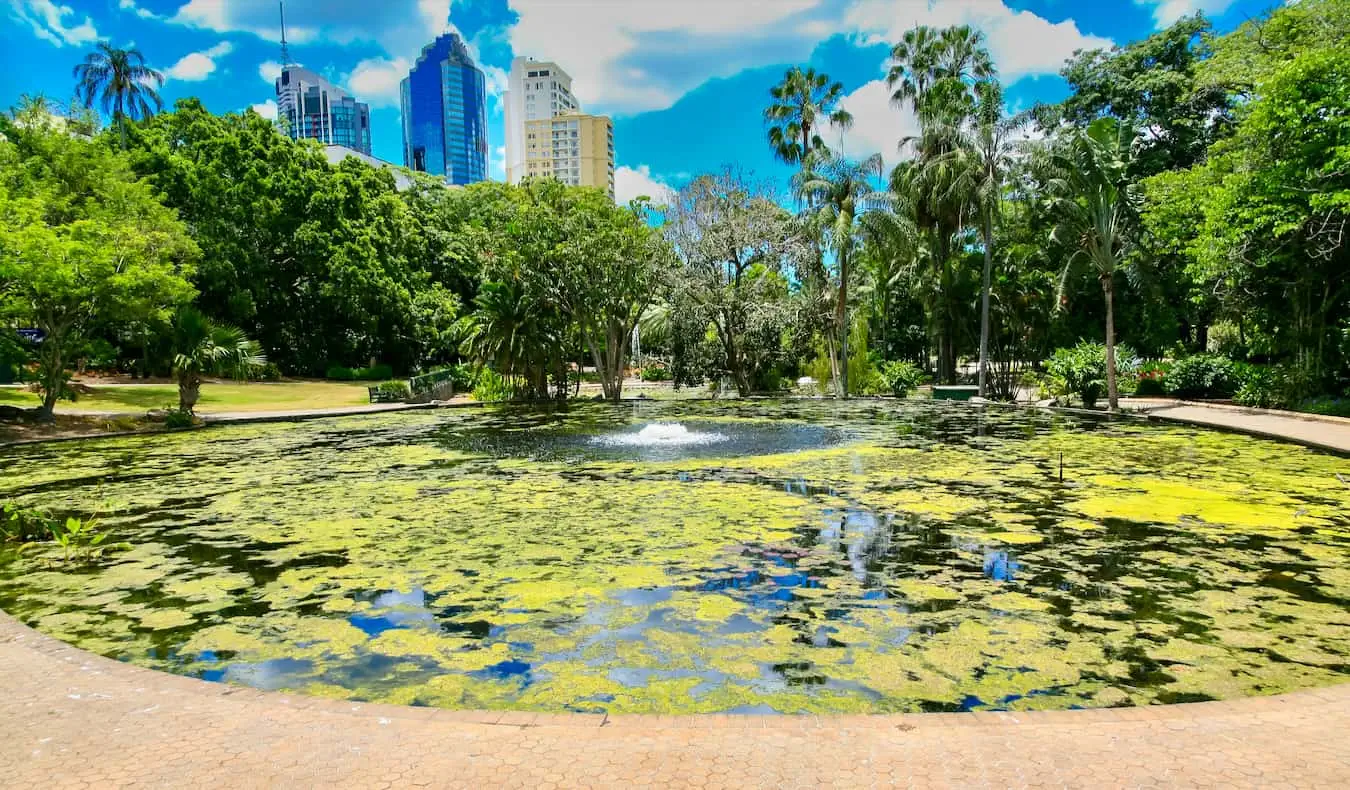 CBD pusat kota yang menjulang tinggi dan ramai di Brisbane, Australia yang cerah