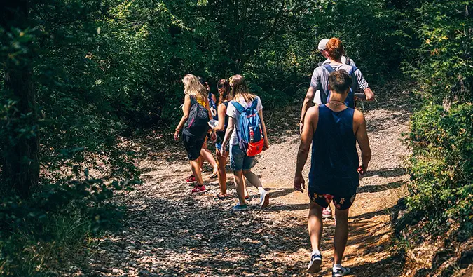 un grupo de viajeros caminando en un bosque