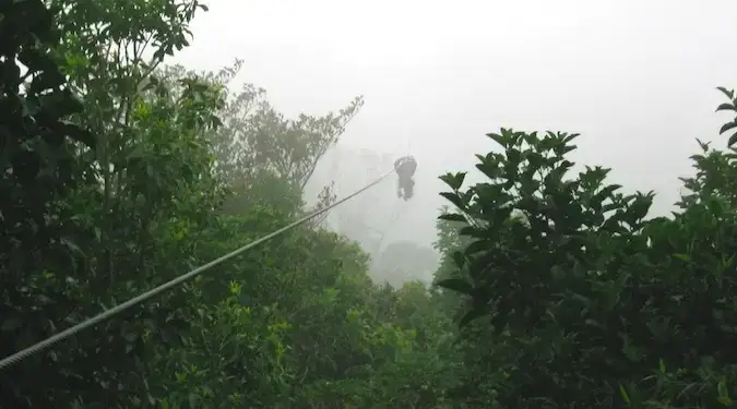 zip lining di dalam hutan