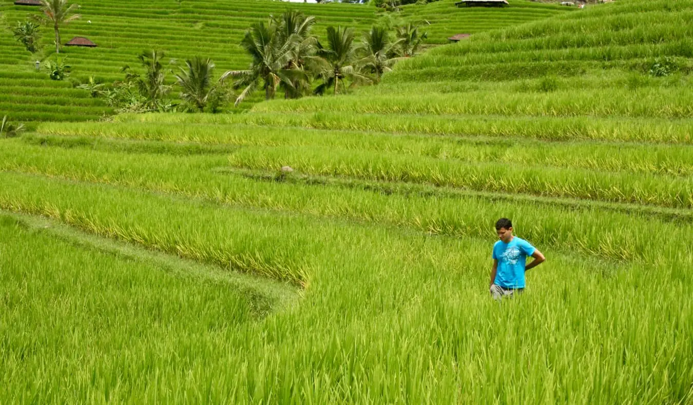 Nomadic Matt kävelee riisipellolla Vietnamissa matkustaessaan yksin