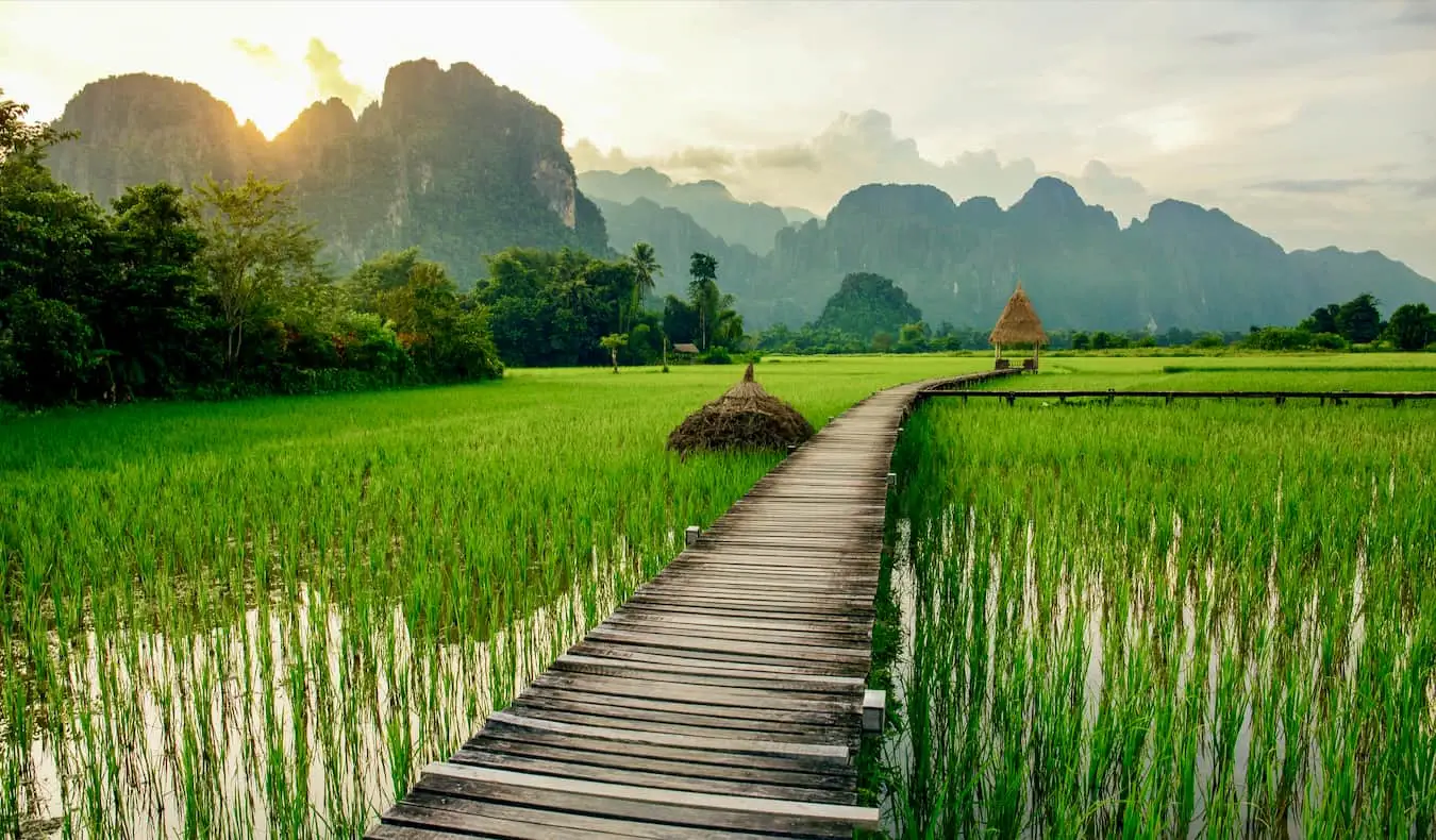 Padang yang indah dan subur di Laos pada hari yang cerah dengan boardwak kayu