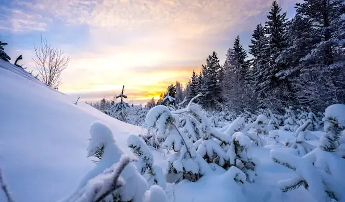 Schneebedeckte Bäume und ein wunderschöner Himmel in Ylläs, Finnland