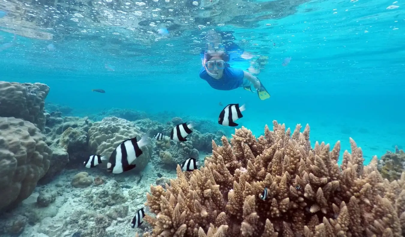 Persona haciendo snorkel en las Islas Cook