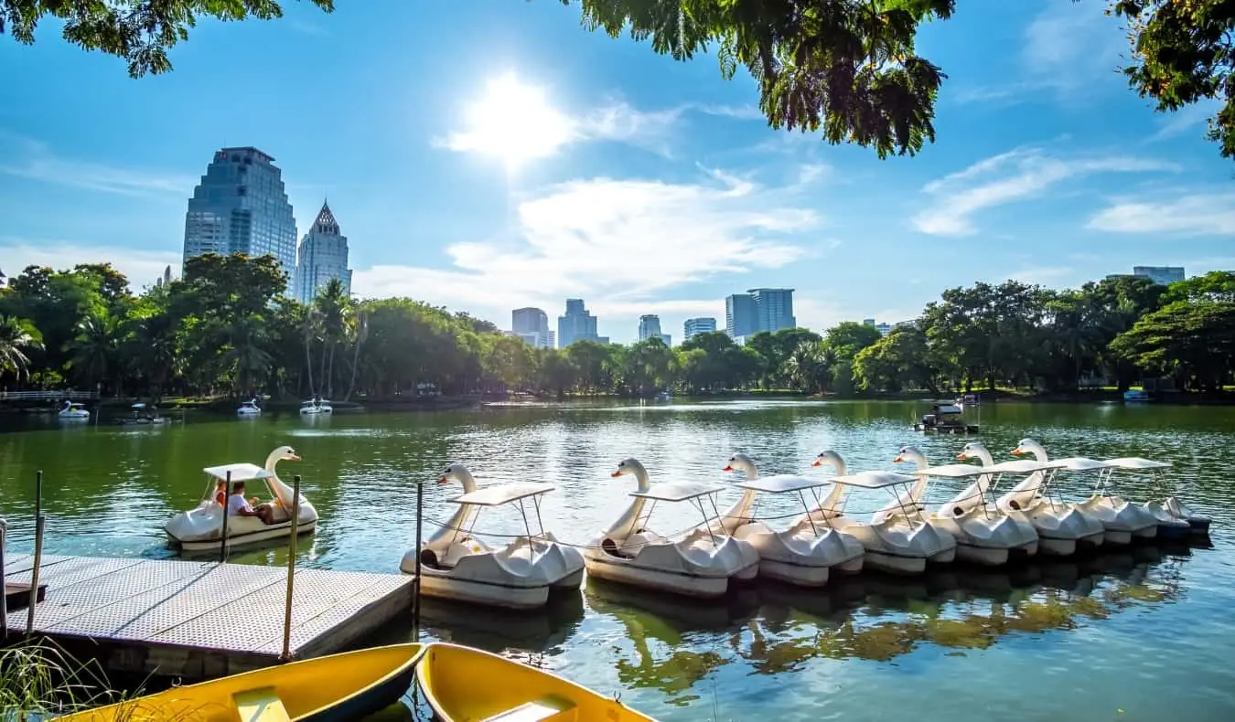 Barcos cisnes em um lago com a cidade