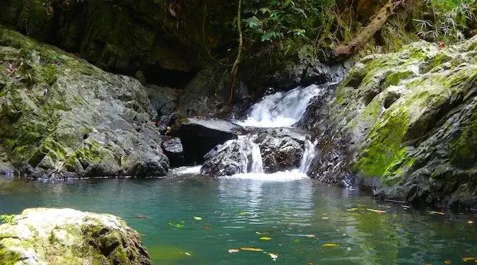 O mică cascadă care se varsă într-un râu limpede în parcul Khao Sok, Thailanda.