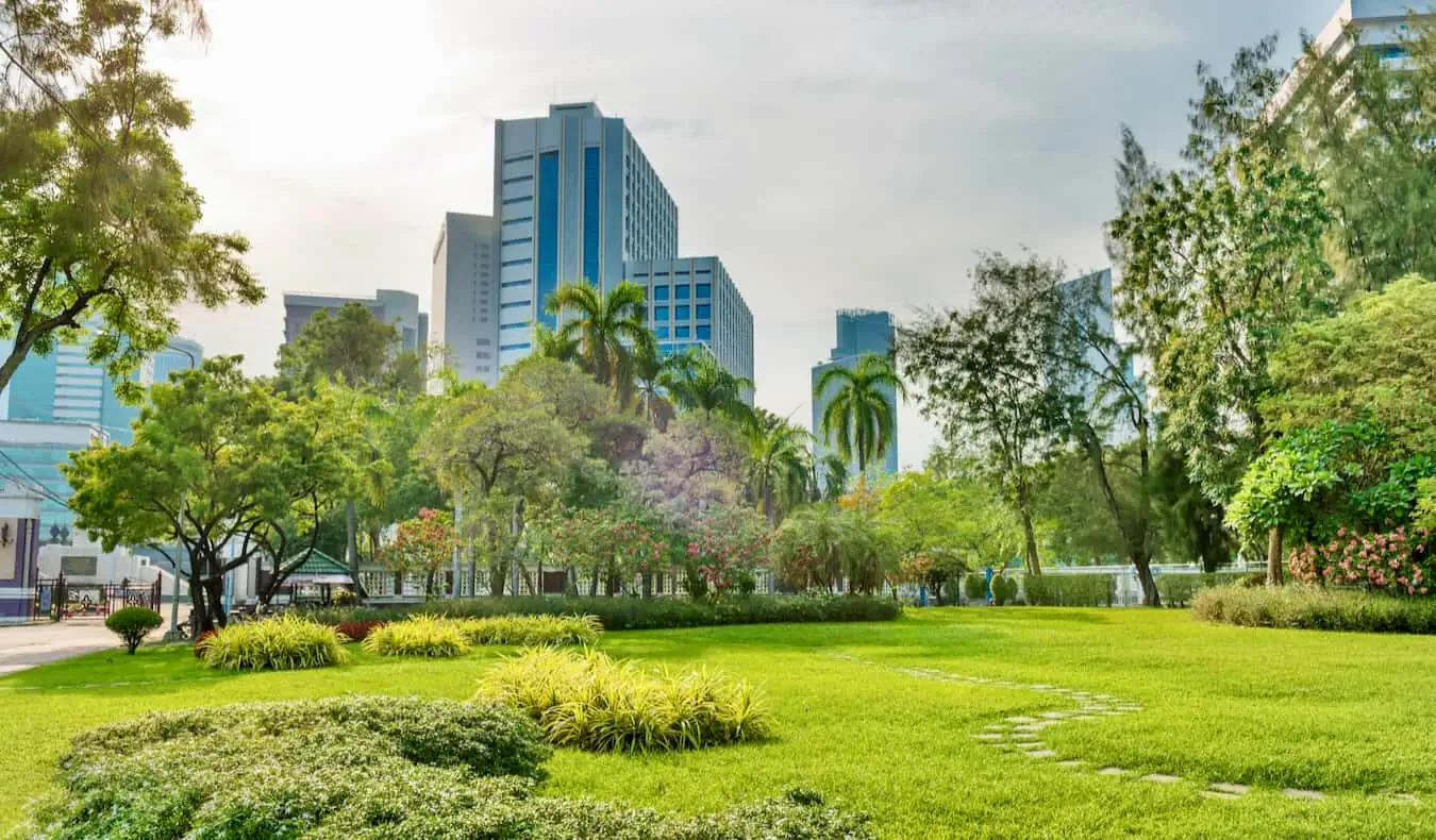 Das grüne, üppige Gras und die Bäume des weitläufigen Lumpini-Parks in Bangkok, Thailand