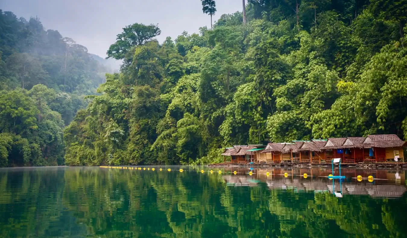 Hutan Thailand yang subur dan hijau dikelilingi oleh sungai