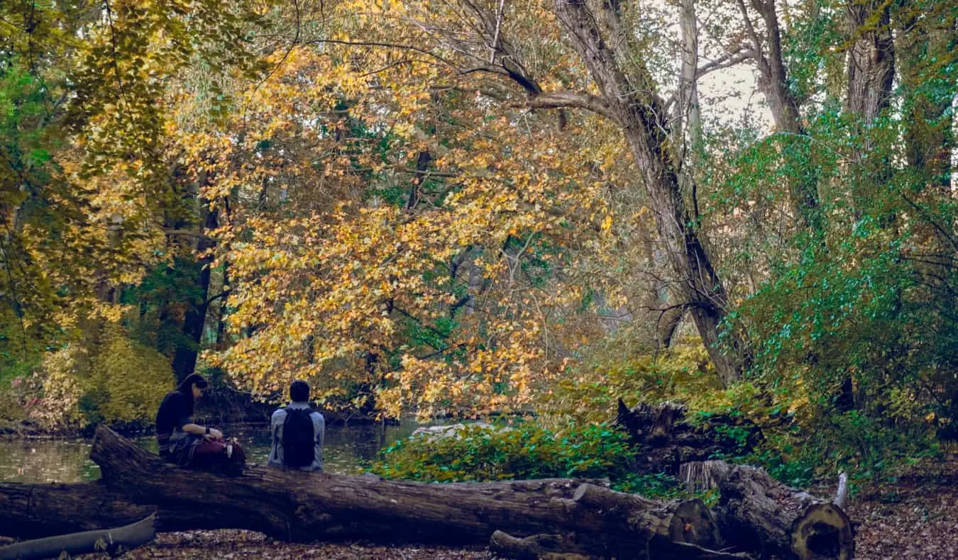 A vegetação do Tiergarten em Mitte, um parque exuberante em Berlim, Alemanha