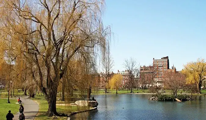 Die Bäume und das Wasser in der Nähe von Boston