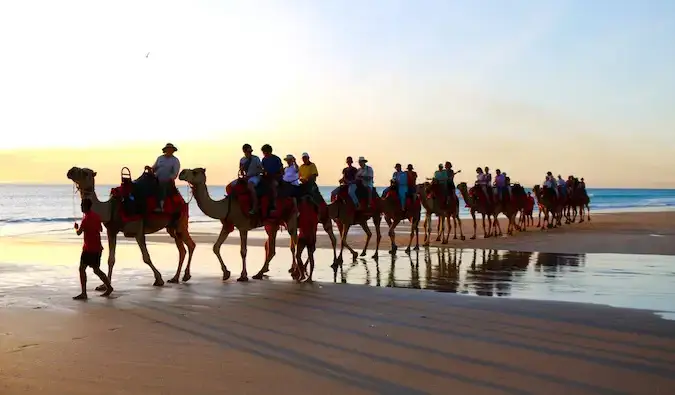 Una fila di cammelli che cammina lungo la spiaggia in Marocco