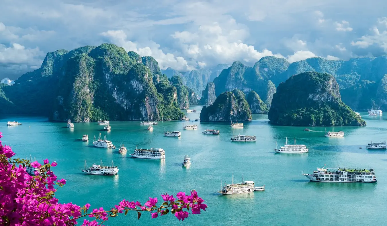 Ohromující zátoka Ha Long Bay ve Vietnamu s květinami v popředí