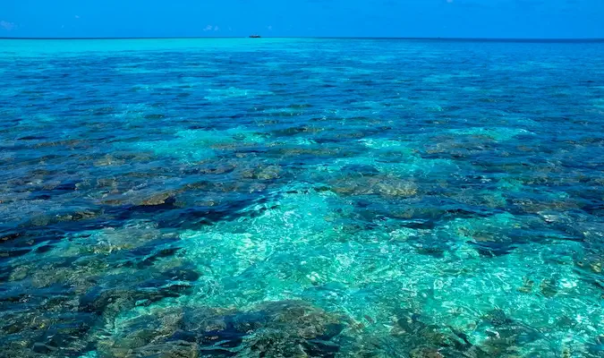 eaux claires des Maldives