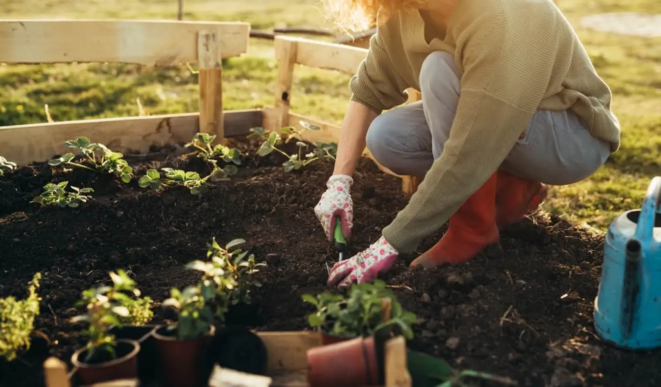 Cineva care plantează la o fermă urbană