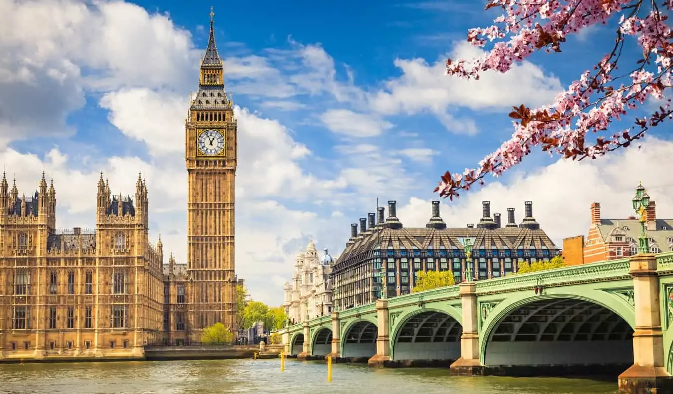 Utsikt över Big Ben och parlamentet över Themsen med körsbärsblommor i blom i London, England