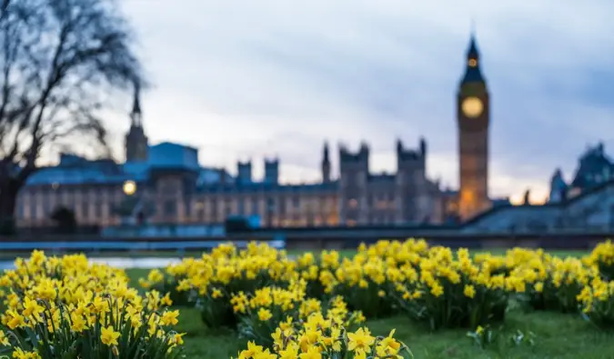 Heldere bloemen nabij de Big Ben in Londen