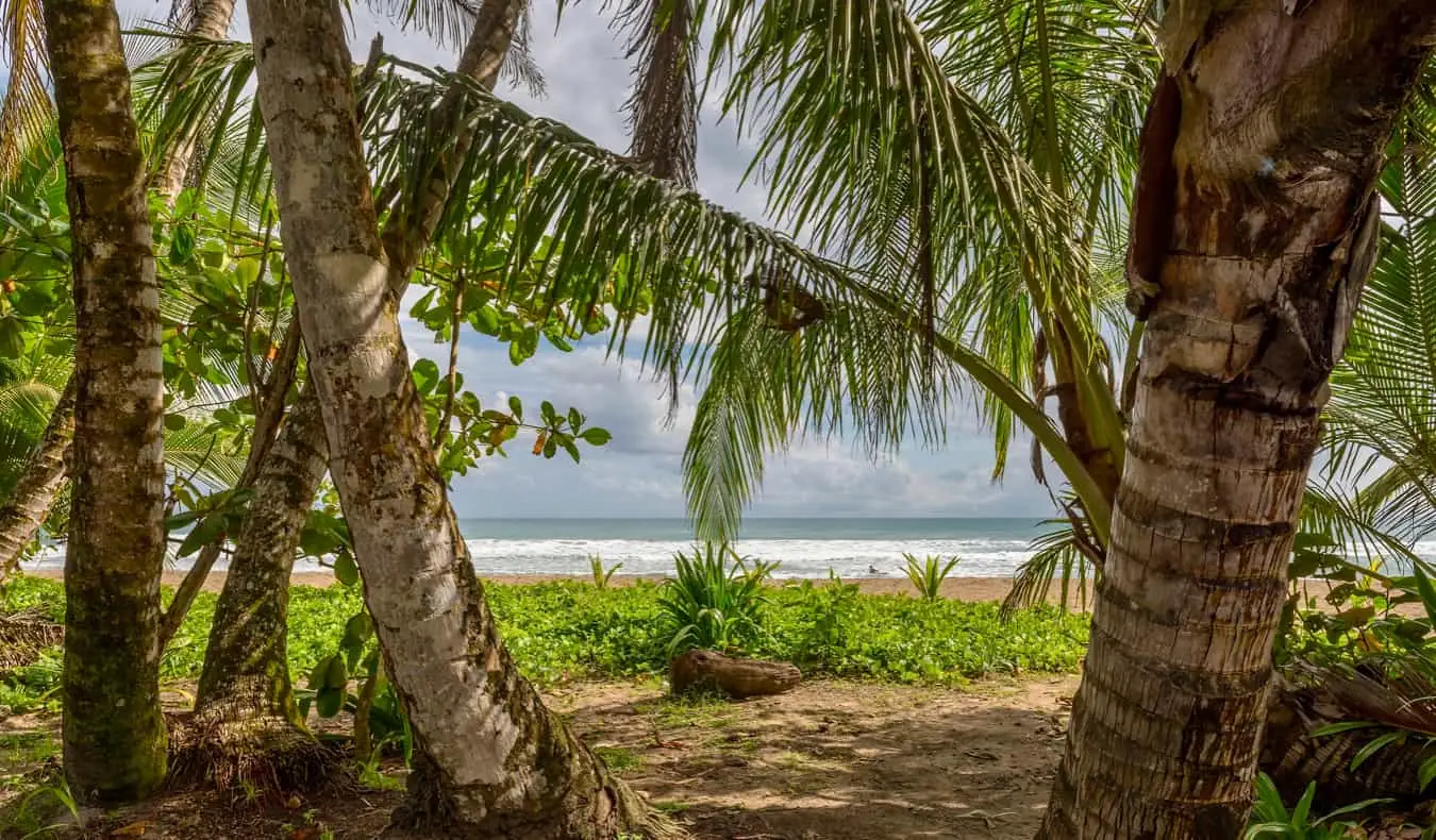 De kust van Costa Rica gezien door de bomen op het strand van Punta Uva