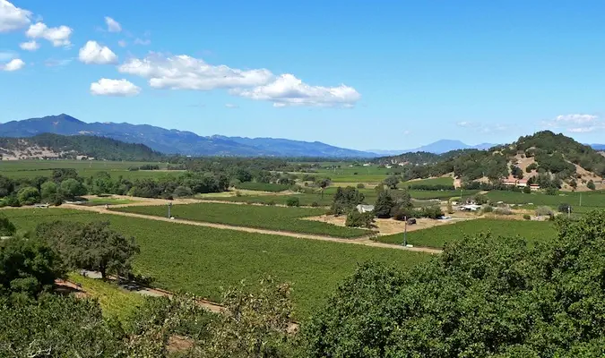 Frumoasele podgorii din Napa Valley din SUA vara