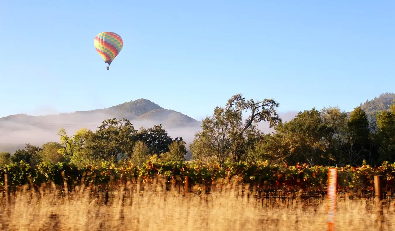 Un balon cu aer cald plutind peste podgorii din Napa Valley, California