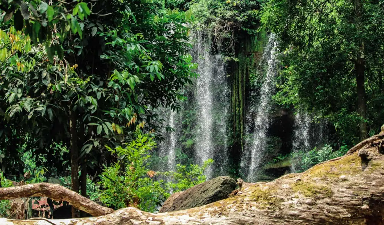 Kamboçya'nın Phnom Kulen kentinde yemyeşil bir ormanın ortasında uzun bir şelale