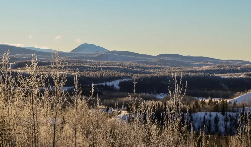 Un bosque invernal y colinas cerca de Faro, Yukon, Canadá