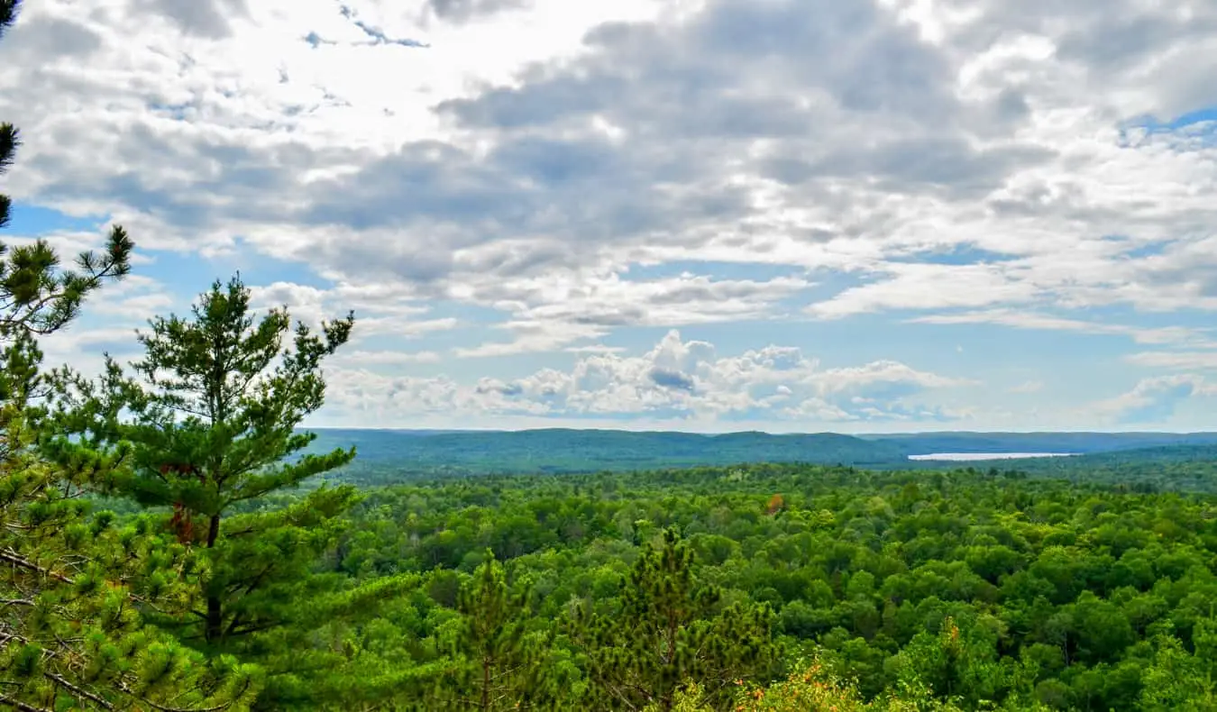 En flot udsigt over skove i Algonquin Park i Ontario, Canada