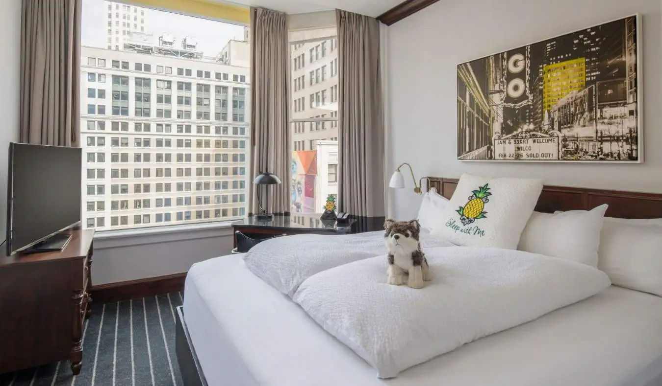 Gästezimmer im Staypineapple Hotel in Chicago, mit einem ausgestopften Hund auf dem Bett und einem großen Fenster mit Blick auf die Wolkenkratzer der Stadt