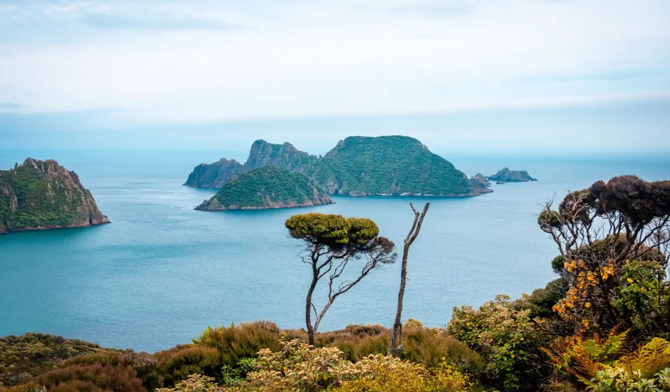 Ein Blick auf Stewart Island in Neuseeland