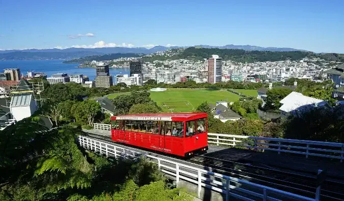 夏季俯瞰新西兰惠灵顿市的景色