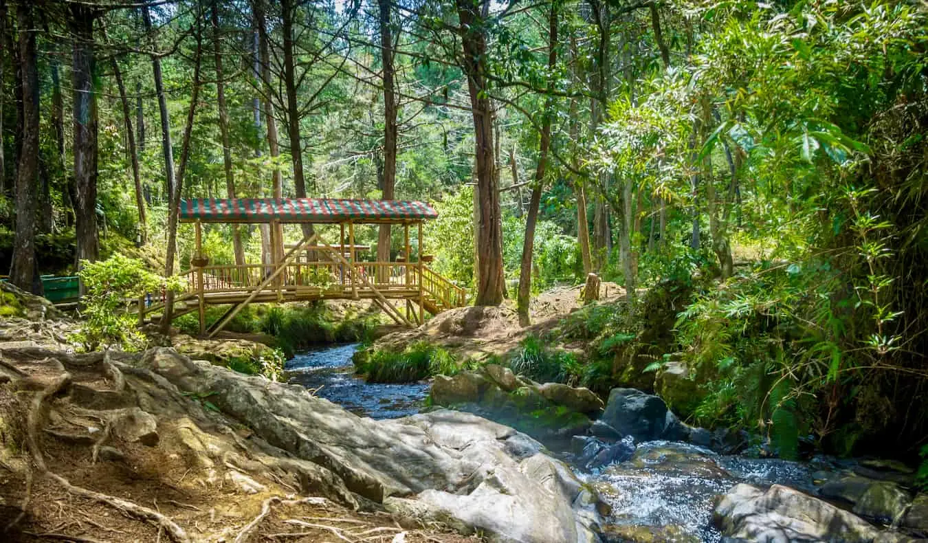 14 stvari koje treba raditi u Medellínu (i JEDNA stvar koju NE smijete raditi!)