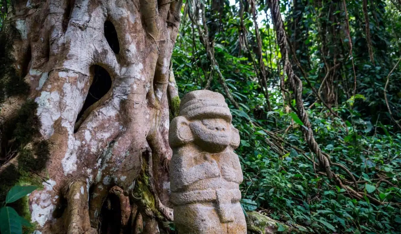 Eine alte präkolumbianische Statue im Regenwald neben einem alten Baum mit großen Wurzeln.