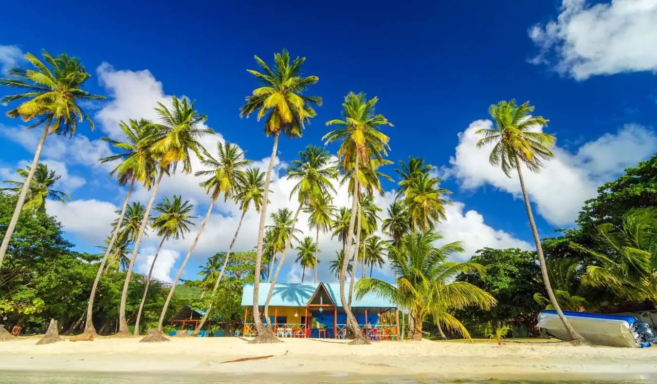 Gubuk berwarna-warni di pantai yang dikelilingi pohon palem di Providencia, Kolombia