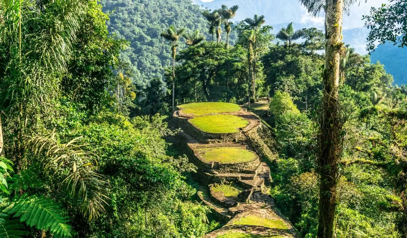 Platform batu bertingkat dilitupi rumput di dalam hutan di Lost City di Colombia