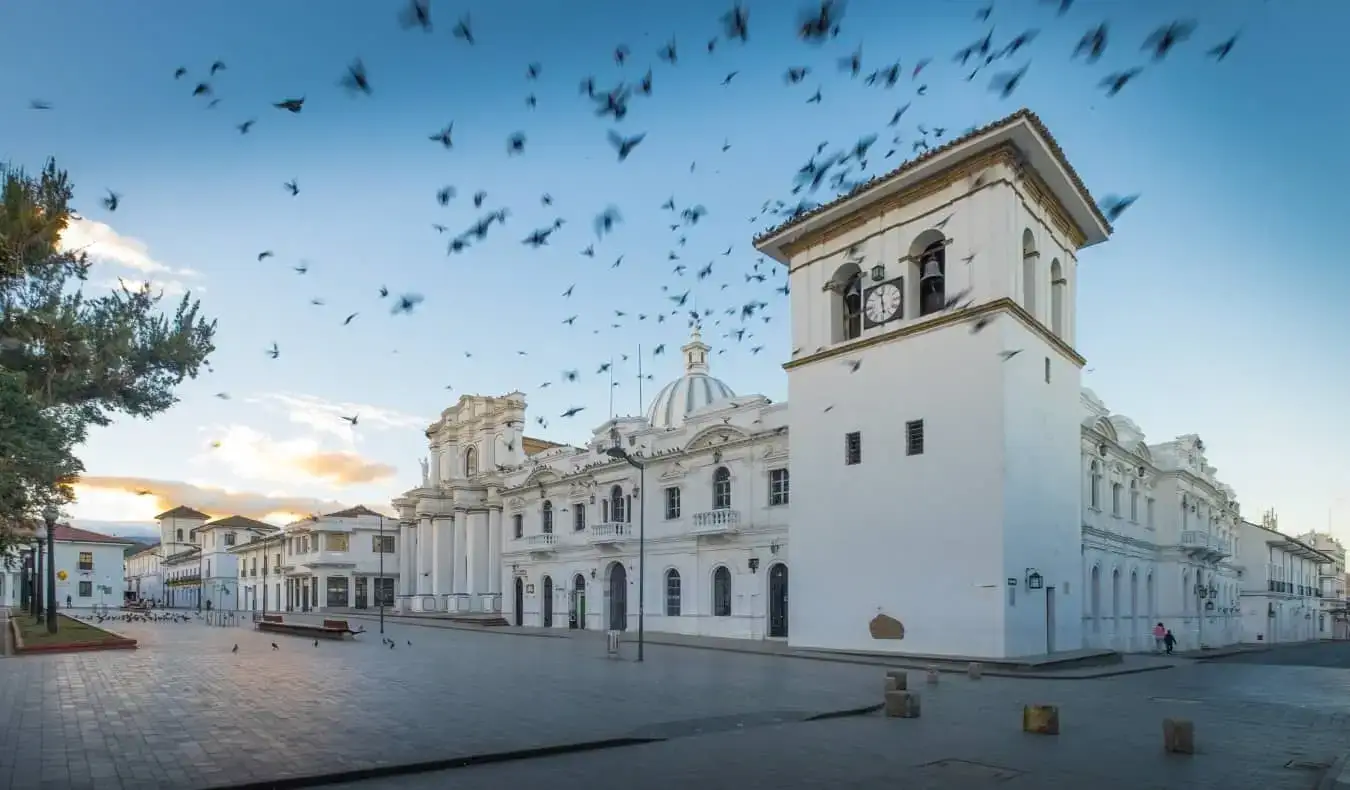 Vogelschwarm fliegt bei Sonnenaufgang über den historischen weißen Gebäuden von Popayán, Kolumbien