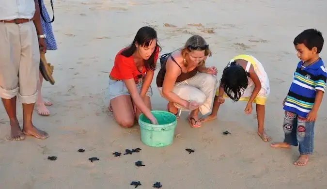 erin de goeringo fent voluntariat a Sri Lanka ajudant tortugues en una platja