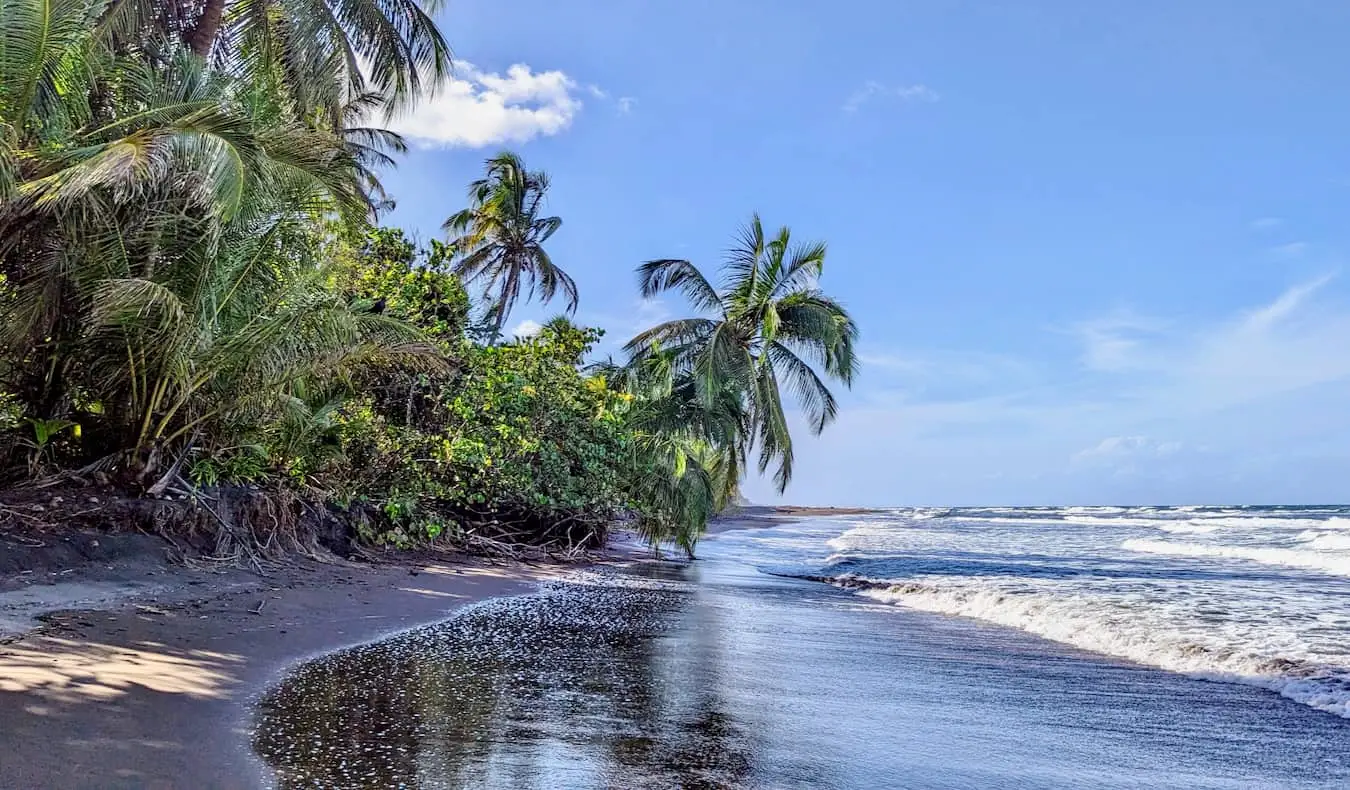 En solrik, lys dag med utsikt over den ruvende Arenal-vulkanen i Costa Rica med frodig jungel i alle retninger