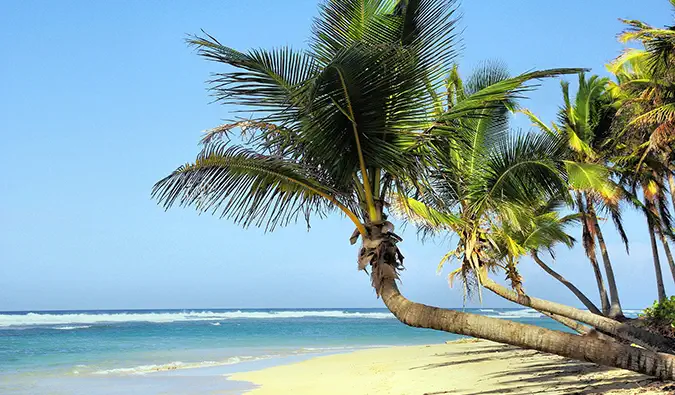 en tropisk strandscene i Cuba med en palme